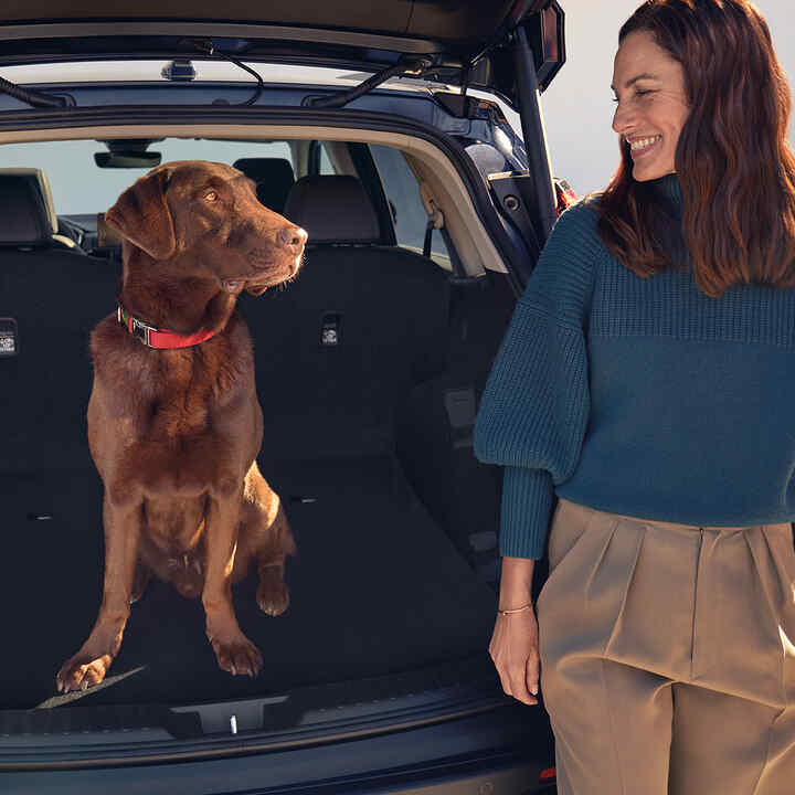 Achterwaarts geplaatste Honda CR-V Hybride met hond en model zittend in de kofferruimte.