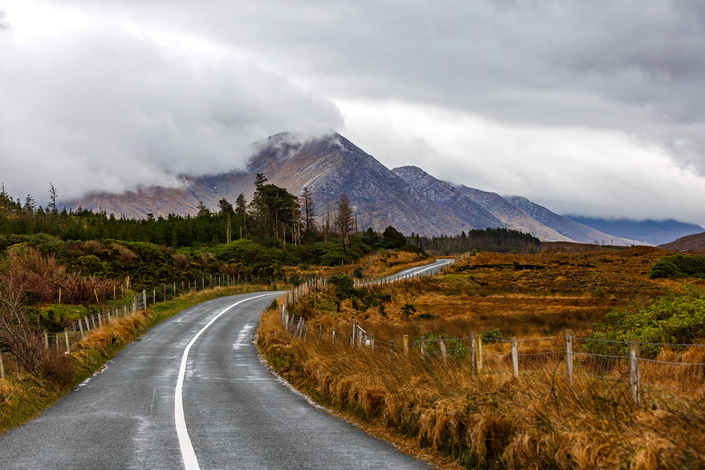 A winding road on Ireland's Wild Atlantic Way