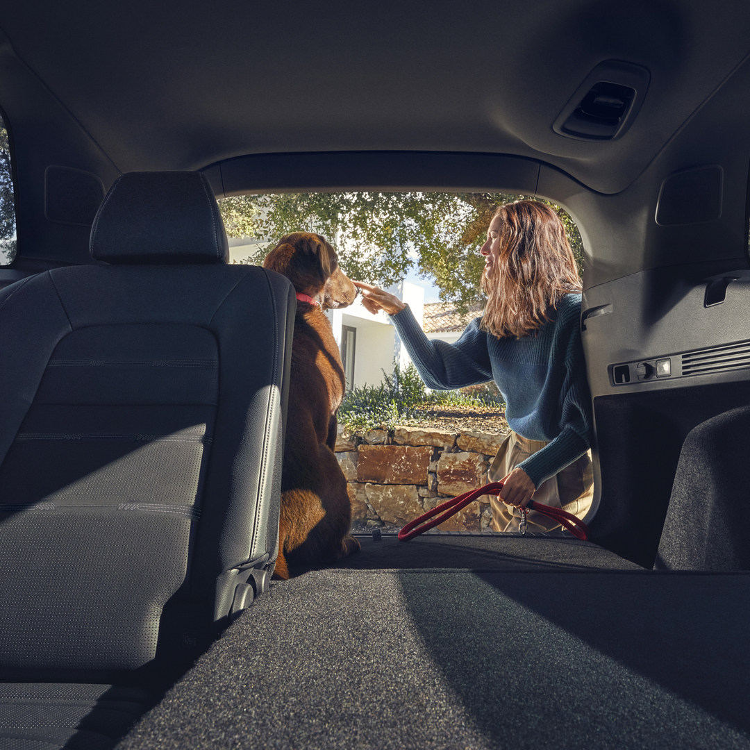 Achterzijde van de Honda CR-V Hybrid met neergeklapte achterbank en een hond in de kofferbak.