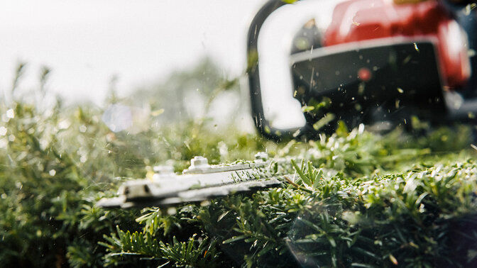 Close-up van heggenschaar in gebruik