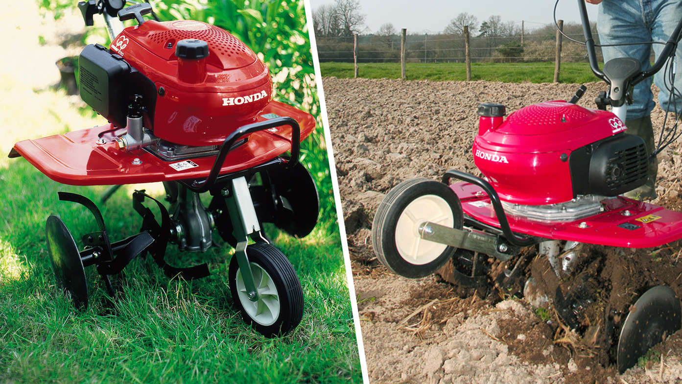 Links: Minituinfrees, tuinlocatie. Rechts: Minituinfrees, in gebruik, tuinlocatie.