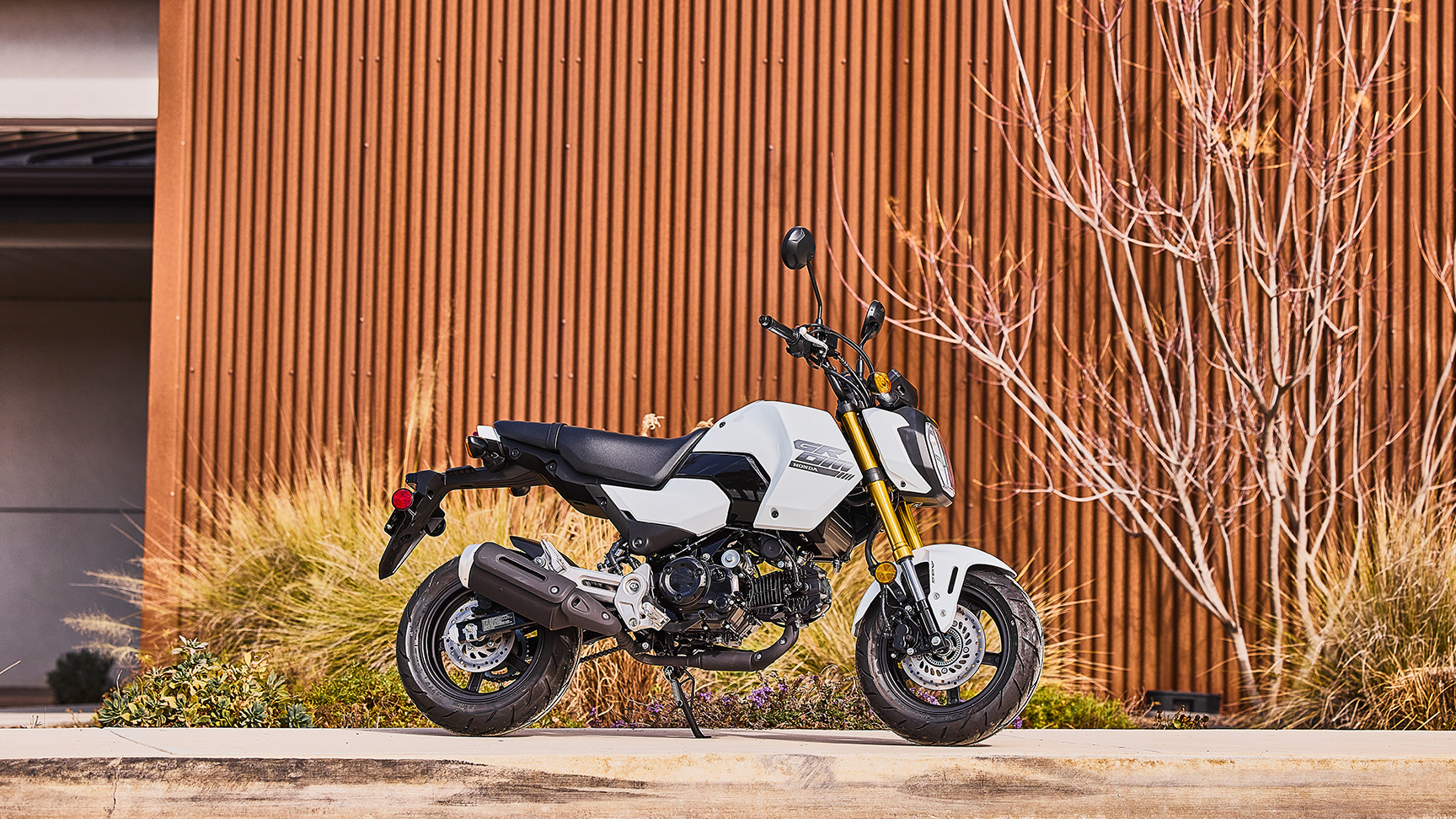 Statisch zijshot van de MSX125 Grom in het wit