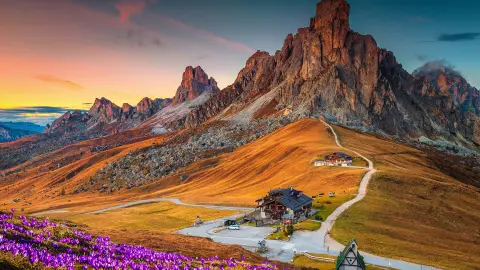 Prachtig alpenlandschap met een heuvel vol lentekrokussen en spectaculaire bergen bij zonsondergang, Giau pas, Dolomieten, Italië, Europa