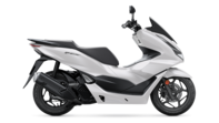 PCX125 2023 Pearl Jasmine White